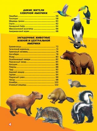 Моя первая большая книга о животных фото книги 14