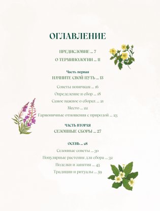Травы. Магические запасы. Иллюстрированное руководство по сбору и заготовке волшебных растений, их полезным свойствам и сезонным ритуалам фото книги 2