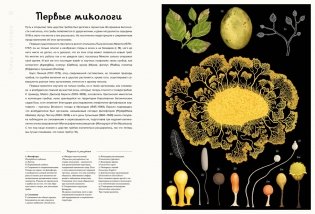 Грибы фото книги 6