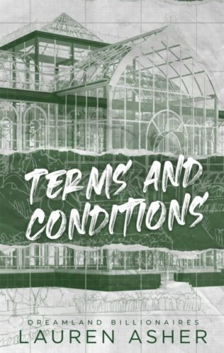 Terms and Conditions : the TikTok sensation! Meet the Dreamland Billionaires... фото книги