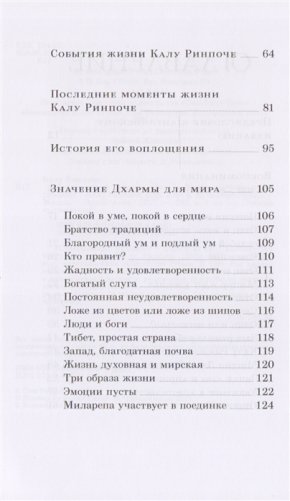 Совершенный буддизм. Жизнь, достойная подражания фото книги 4