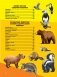 Моя первая большая книга о животных фото книги маленькое 15