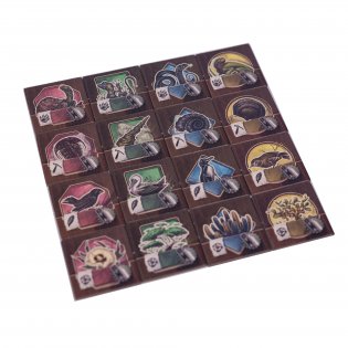 Путешествие Дарвина фото книги 12