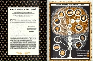 Мир растений фото книги 6