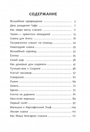 Волшебное превращение фото книги 11