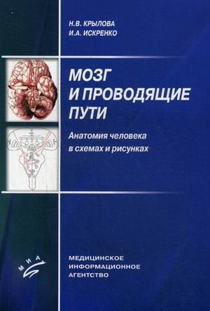 Мозг и проводящие пути. Анатомия человека в схемах и рисунках. Учебное пособие. Гриф УМО по медицинскому образованию фото книги