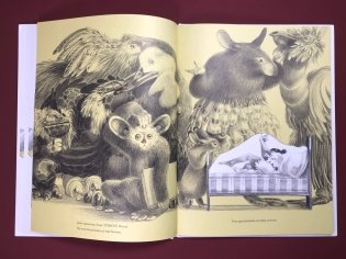 Середина фото книги 5