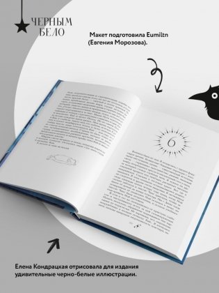 Солнце, уснувшее в ладонях ведьмы фото книги 5