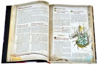 Fateforge: Летописи Эаны. Книга 2. Гримуар фото книги 5