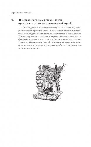 365 разумных советов садоводам и огородникам фото книги 11