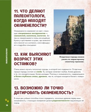 Динозавры фото книги 15