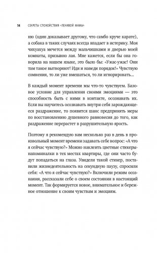Секреты спокойствия "ленивой мамы" (м) фото книги 3