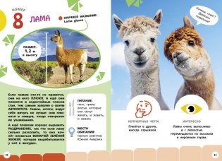 Самые необычные животные и места мира фото книги 7