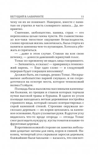Бегущий в Лабиринте фото книги 11