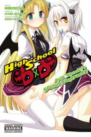 High School DXD: Asia & Koneko's Secret Contract!' фото книги
