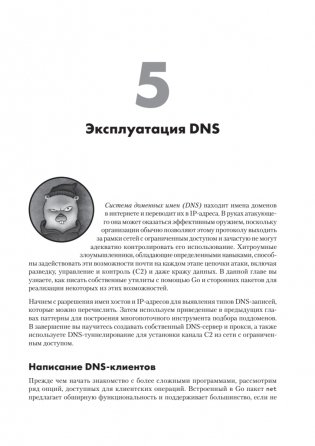 Black Hat Go: Программирование для хакеров и пентестеров фото книги 10