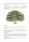 Беларуская мова. 4 клас. Фарміраванне ўніверсальных вучэбных дзеянняў фото книги маленькое 4