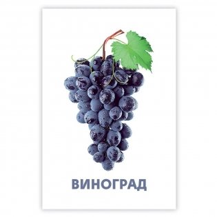 Развивающие карточки. Овощи, фрукты и ягоды фото книги 4