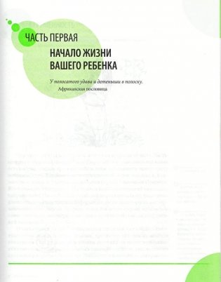 Здоровье ребенка и здравый смысл его родственников фото книги 13