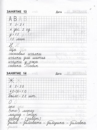 Комбинированные задания по чистописанию за 2 класс. 60 занятий по русскому языку и математике. ФГОС фото книги 3