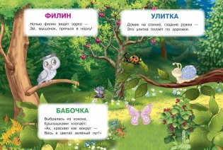 Лесные животные. Играем и учимся с наклейками фото книги 4