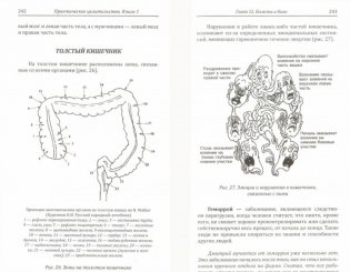 Практическое целительство. Исцеление через гармонию фото книги 2
