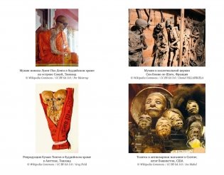 Мумии со всего света фото книги 5