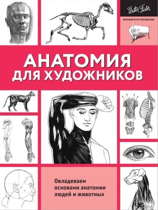 Анатомия для художников фото книги
