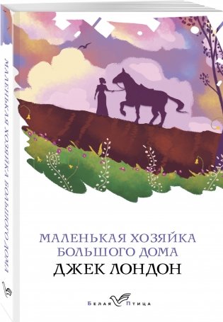 Маленькая хозяйка Большого дома фото книги 2