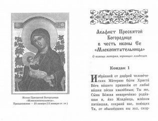 Душа моя взывает к Богу. Акафистник православной женщины фото книги 3