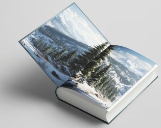 Я твоя пленница фото книги 3