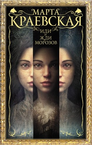 Иди и жди морозов фото книги