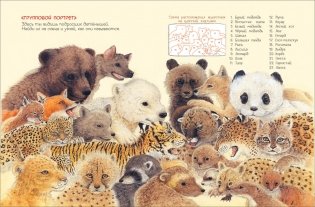 Мамы и малыши фото книги 2