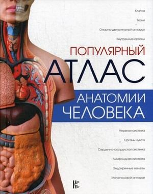 Популярный атлас анатомии человека фото книги