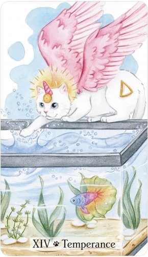 Caticorn Tarot фото книги 3