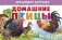 Домашние птицы. Обучающие карточки фото книги маленькое 2