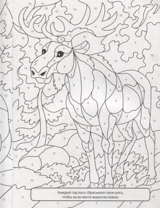 Раскраска по номерам. Весёлый зоопарк фото книги 5