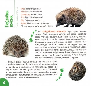 Беларускі лес фото книги 5