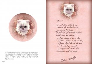 The Art of Harry Potter. Mini Book of Graphic Design фото книги 5