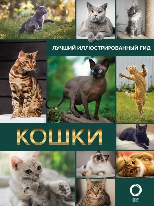 Кошки. Лучший иллюстрированный гид фото книги