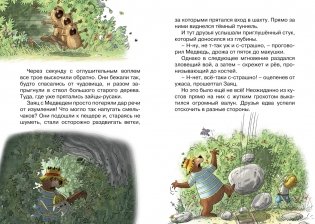 Тайна древнего рудника фото книги 6