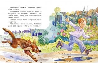 Леля и Минька. Рассказы фото книги 8