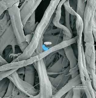 Не лижи эту книжку фото книги 7