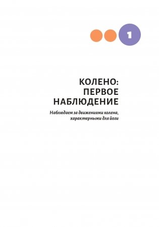 Анатомия йоги. Колени фото книги 5