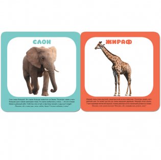 Малышарики. Животные зоопарка фото книги 2