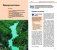 Лазурный берег. Прованс. Путеводитель с мини-разговорником фото книги маленькое 4