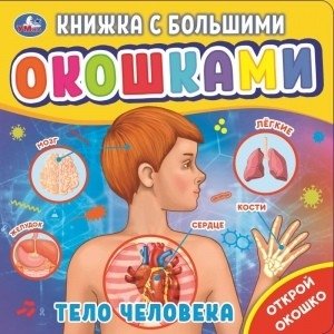 Тело человека. Книжка с большими окошками фото книги