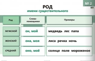 Опорно-аналитические таблицы и алгоритмы по русскому языку. Имя существительное фото книги 3