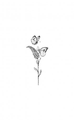 Не дружи со мной фото книги 2