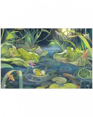 Секреты животных озера. Визуальная энциклопедия фото книги 7